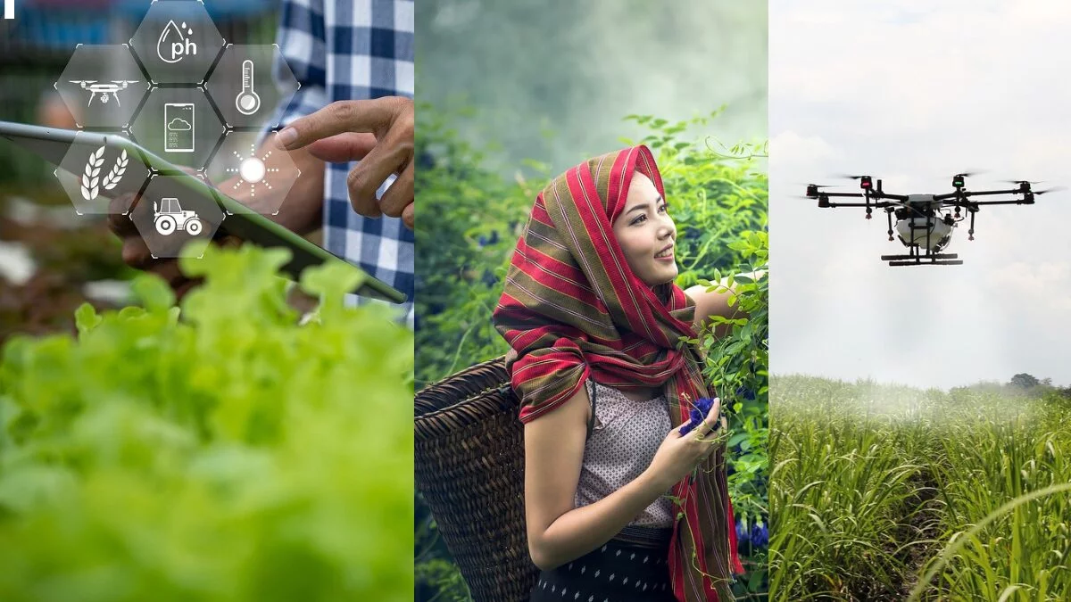 how AI is used in agriculture in 2024