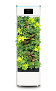 smart-plant-purifier-2397587_1280