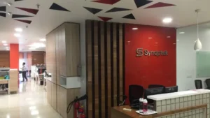 Synoptek Is Hiring A Entry Leval Data Scientist